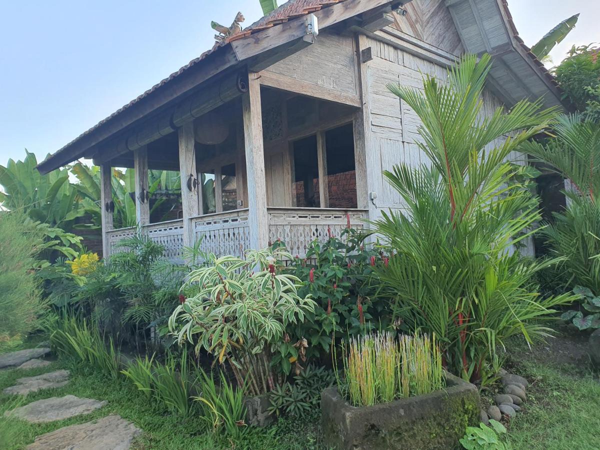 Agaliving Medewi Bed & Breakfast Pulukan Ngoại thất bức ảnh